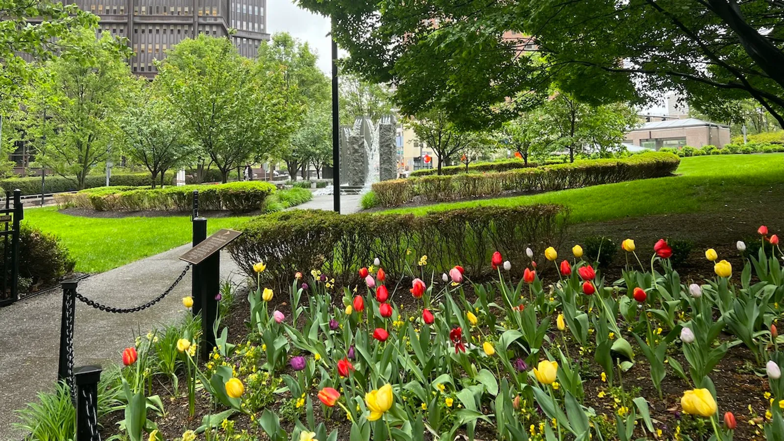 Things I love about Downtown, No. 7: Tunnel under the tulips? taken in Downtown (Weekly Features). Photo by DEJAN KOVACEVIC / DKPS